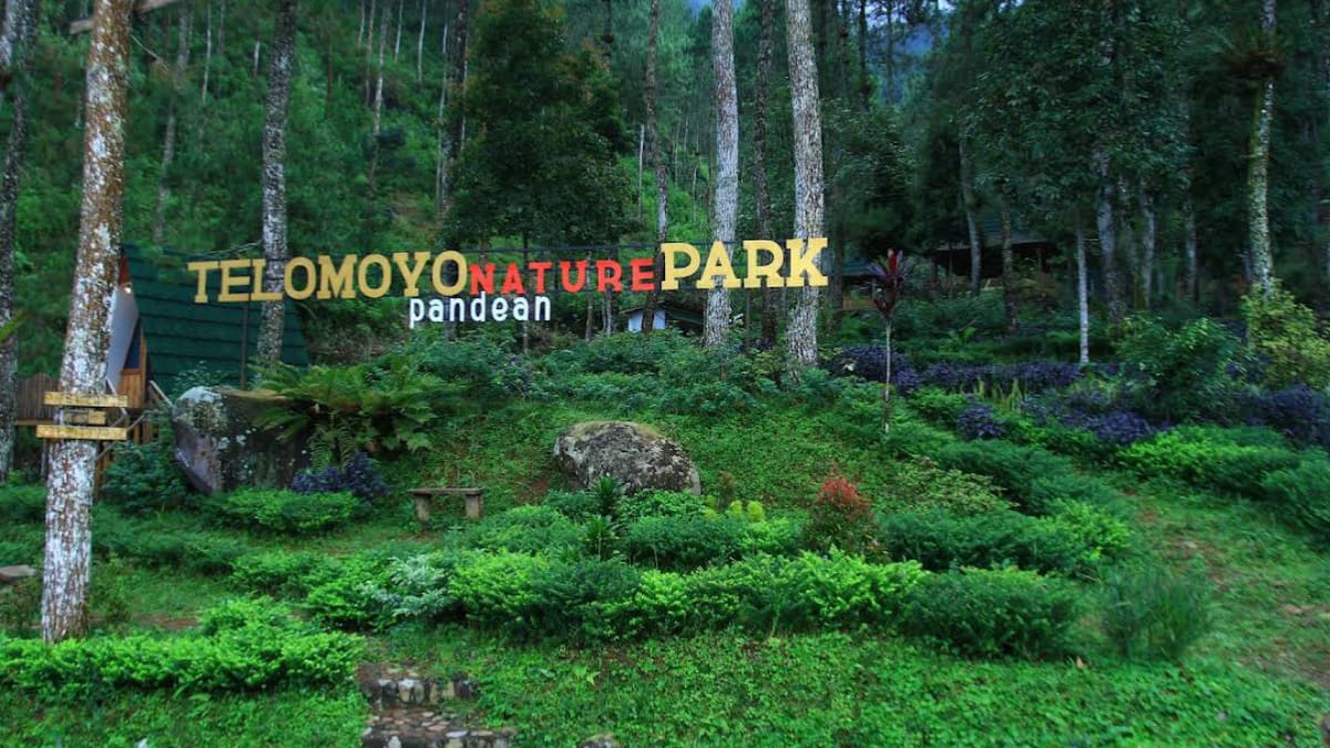 Telomoyo Nature Park: Menikmati Keindahan Alam dan Ketenangan di Lereng Gunung